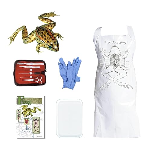 Anatomy Lab Frog Dissection Kit with Scalpel Dissection Guide and ...