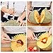 May Fifteenth10 Pieces Fruit Slicer Watermelon Corer Slicer/Pineapple Slicer/Apple Peeler MF-1731G