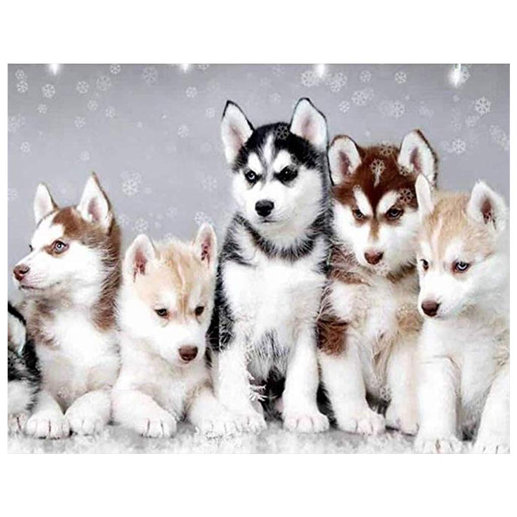 (40x50cm) Square Diamond DIY 5D Kits Full Drill Husky Family DIY Art Cross Stitch Set Full Drill Square Diamond Art Wall Painting Pictures Embroidery DIY Stitch Crystal Mosaic for Home Decor