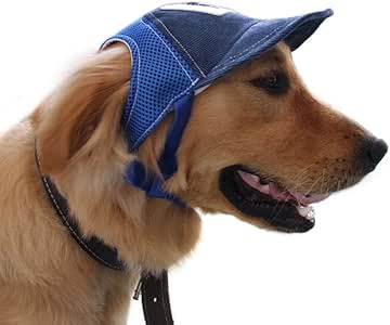 baseball cap with dog on it