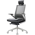 SIDIZ T80 Premium Ergonomic Office Chair : Extreme Comfort Home Office Desk Chair, Adjustable Headrest, Lumbar Support, 3D Armrests, Forward Tilt, Seat Depth, Alternative Gaming Chair (White)