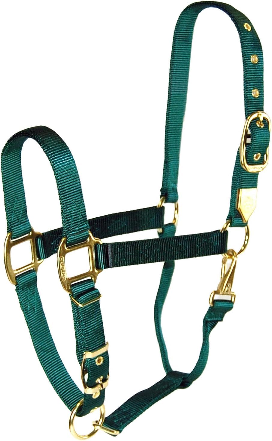 Hamilton 1-Inch Nylon Halter with Adjustable Chin, Dark Green, Large Size 1100 to 1600-Pound