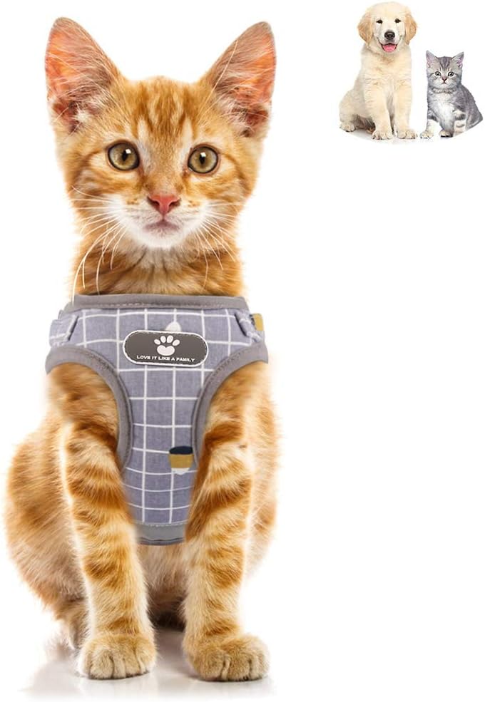 Deggodech Soft Breathable Dogs Vest Harness Reflective Dog Harness and Leash Set Adjustable Cat Walking Harness and lead Set Escape Proof for kitten Cat Dog (S - Image 3
