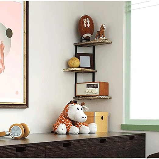 Los Estantes Montados En La Pared Tres Plantas De Esquina