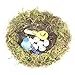 Forevercute Set of 2 (6''& 8'') Easter Faux Natural Moss,Rattan and Twig Bird's Nest (No Bird),Handmade Dry Bird nest for Home Decor