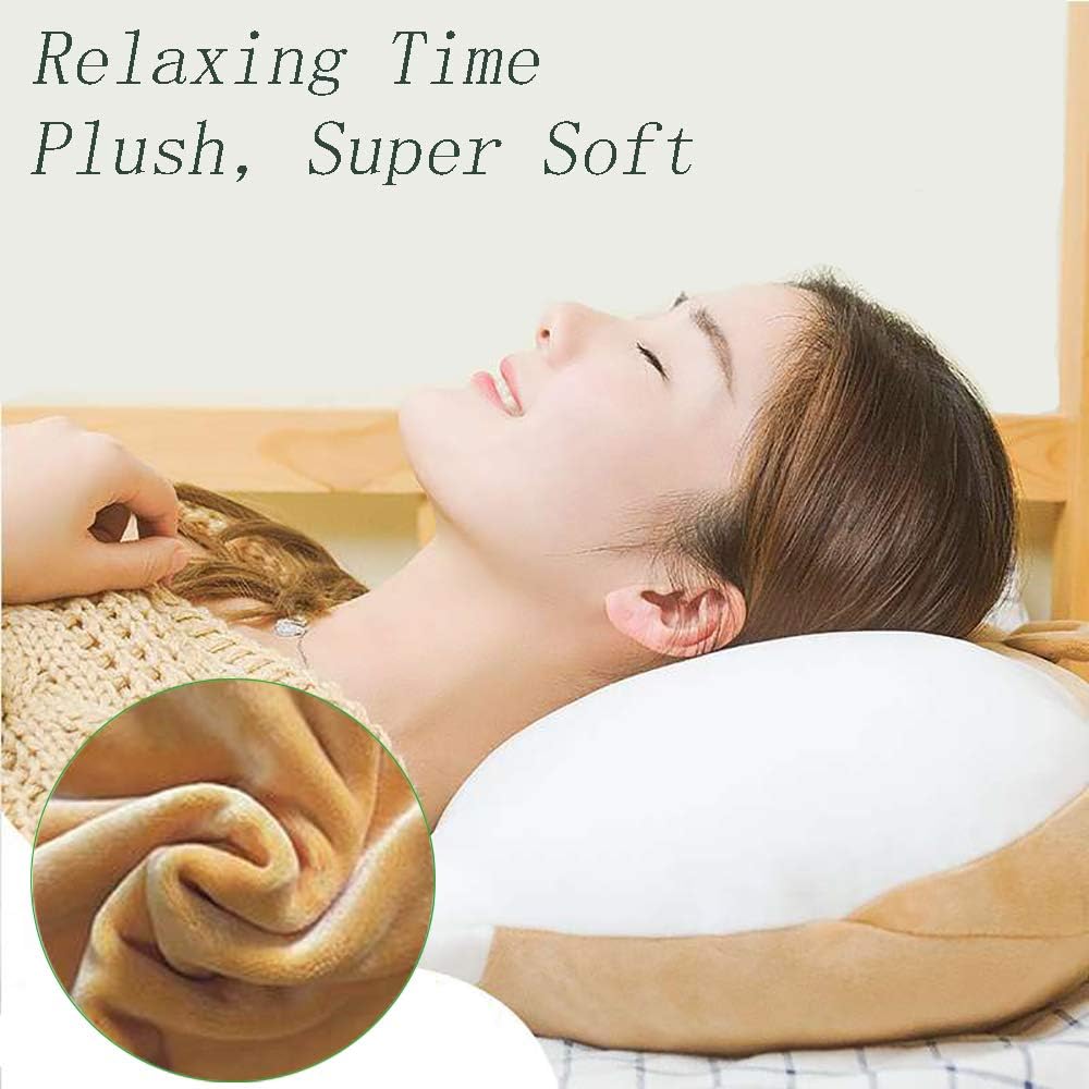 lts travel pillow