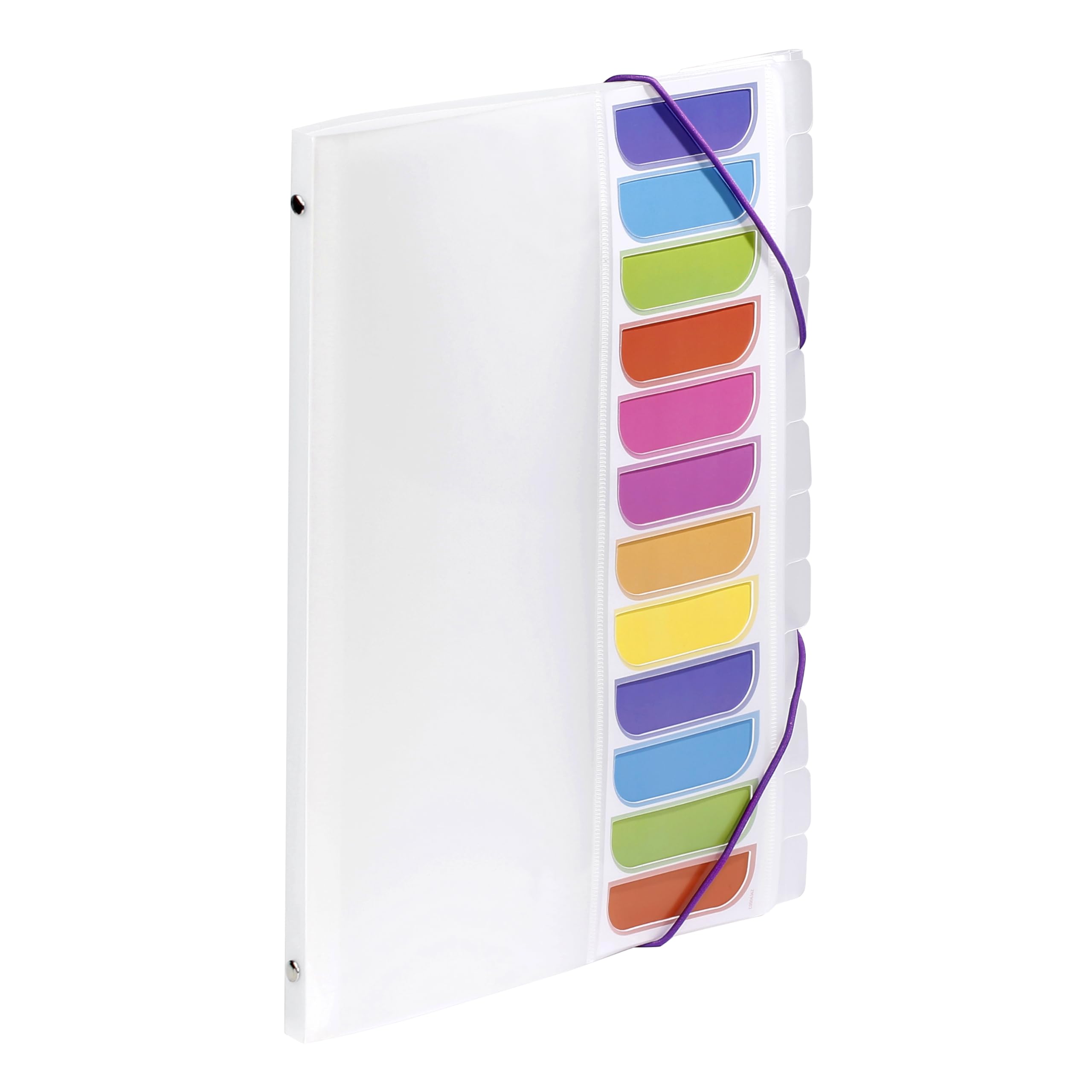 Viquel - 12 compartments A4 Folder with Index on the Front - Elastic Closure - Colourless