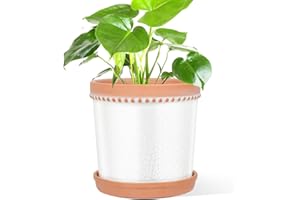 KERUITA 8 Inch Ceramic Plant Pot with Drainage and Saucer – Crackle Glaze White, Large House Plant Pot, Planters for Indoor Plants, Pots for Indoor Plants, Decorative Ceramic Pot for Home & Office
