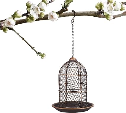 Amazon Com Petrip Bird Feeders For Outside Wild Bird Feeder For