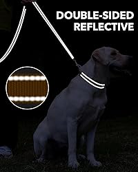Taglory Dog Leash for Small Dogs, Double-Sided