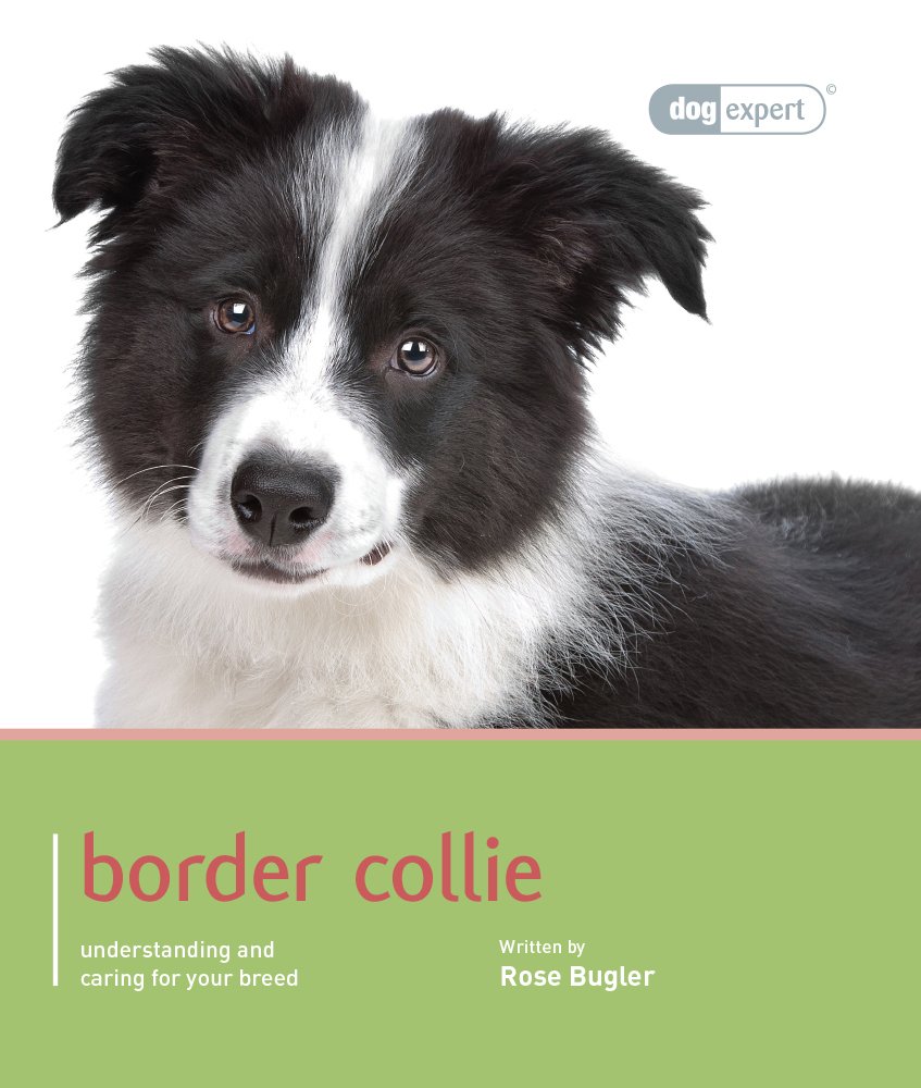 border collie supplies