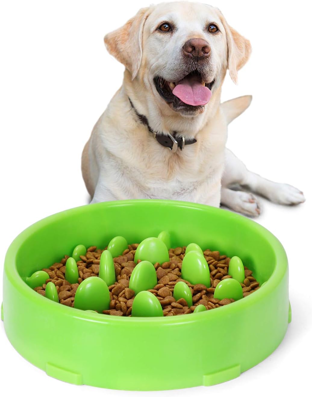 green slow feeder dog bowl