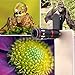Universal 10X Optical Zoom Telephoto Clip On Lens High Definition Mobile Telescope Camera Lens for iPhone 7, LG, HTC, Sony and More (Black)
