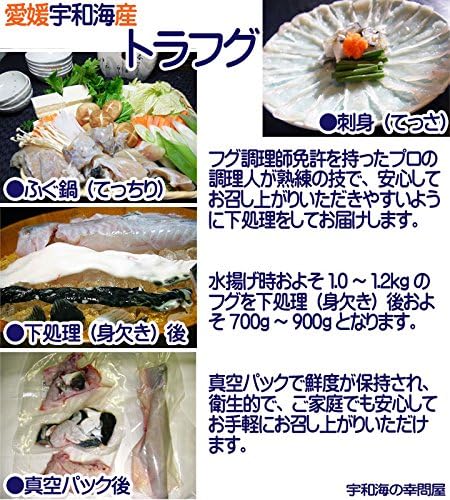 Amazon 愛媛 トラフグ 約1 1 6kg 1匹 下処理済み 鍋 刺身 唐揚げ 雑炊 宇和海の幸問屋 宇和海の幸問屋 鮮魚 通販