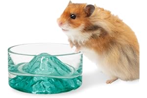 BNOSDM Hamster Food and Water Bowl Mountain Fuji Style Glass Drinking Dwarf Hamster Feeder Anti-Turning Dish for Syrian Hamsters Gerbils Mice Rats or Other Similar-Sized Pets (Green)