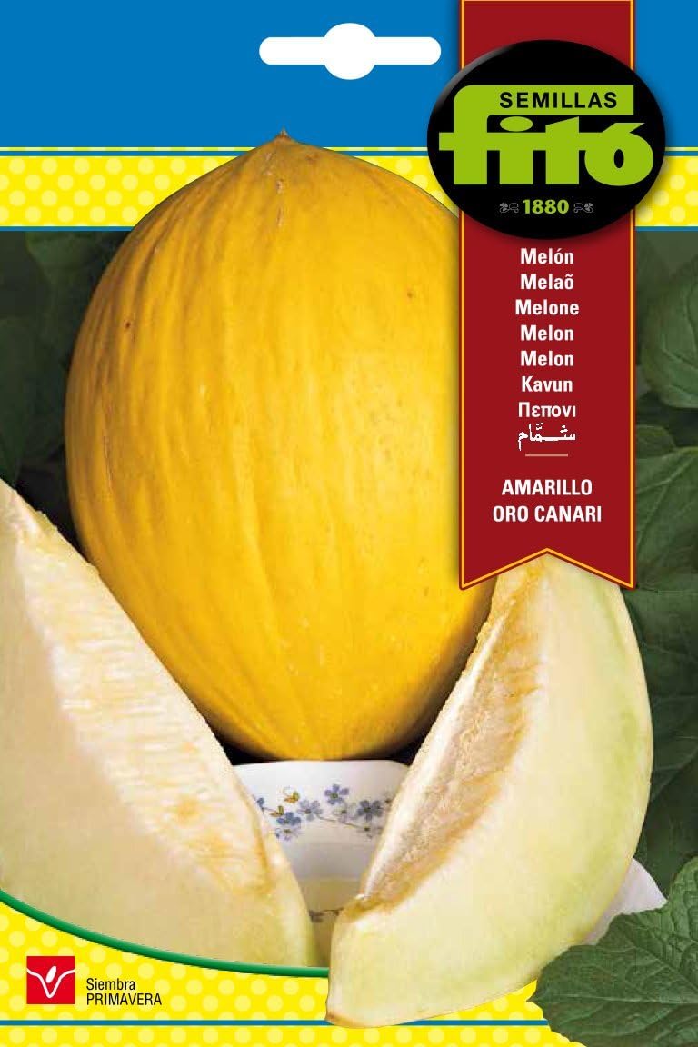 Semillas Fitó 214 - Semillas de Melón Amarillo Oro Canari: Amazon ...