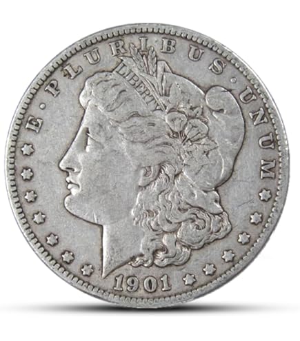 Amazon.com: Certified Morgan Silver Dollar 1895-O VF20 ANACS