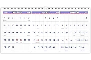 AT-A-GLANCE 2025 Wall Calendar, 24" x 12", Large, Horizontal, 3-Month Reference (PM142825)