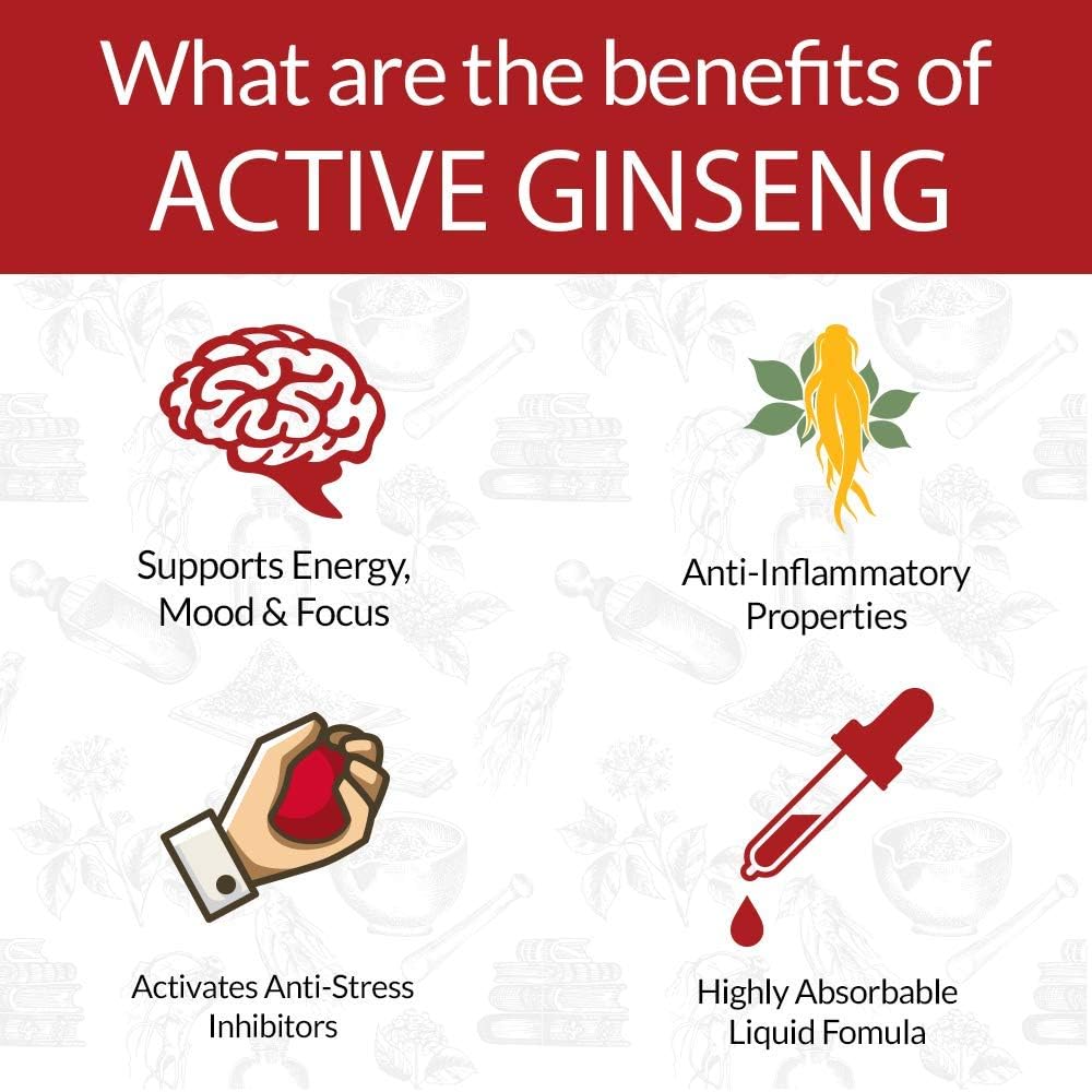 Active Ginseng Korean Red Panax Ginseng with Natural Ginsenosides - All-Natural Advanced Liquid Solution for 2X Absorption - Supports Healthy Energy, Vitality, Mood and More: Health & Personal Care