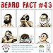 Beardilizer Island Coconut Rum Beard Oil for Men - 100% Natural Beard Conditioner & Oils with Argan & Jojoba Oils - Beard Softener & Beard Moisturizer for Beard Growth (Island Coconut Rum, 4 Oz)