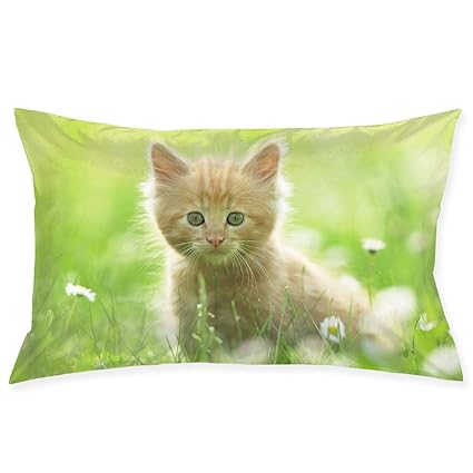 Amazon Com Hateone Pillow Protector Cat Kitty Pet Logo Pillowcase