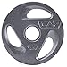 CAP Barbell 2-Inch Olympic Grip Weight Plates, Single, Gray, Various Sizes, 2.5 lb