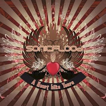 sonicflood heart like yours