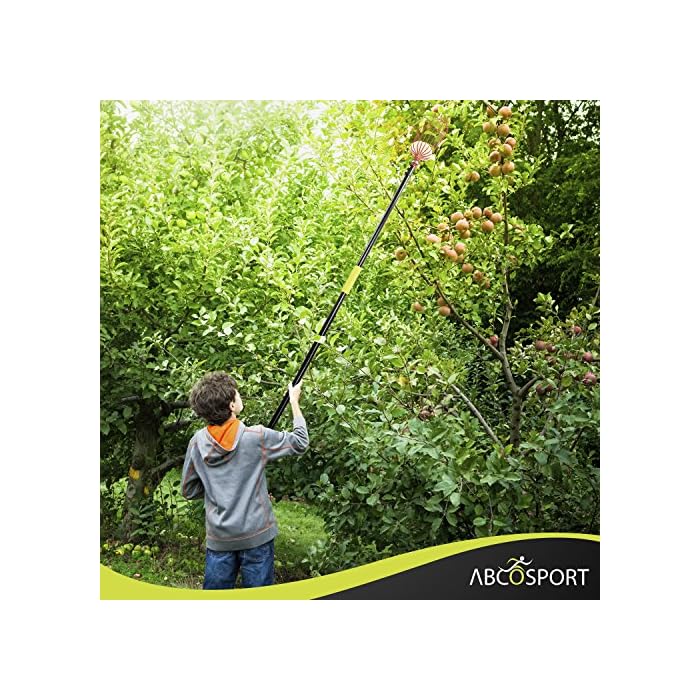 Abco Tech Fruit Picker Tool or Fruit Tree Picking Pole with Basket13ft