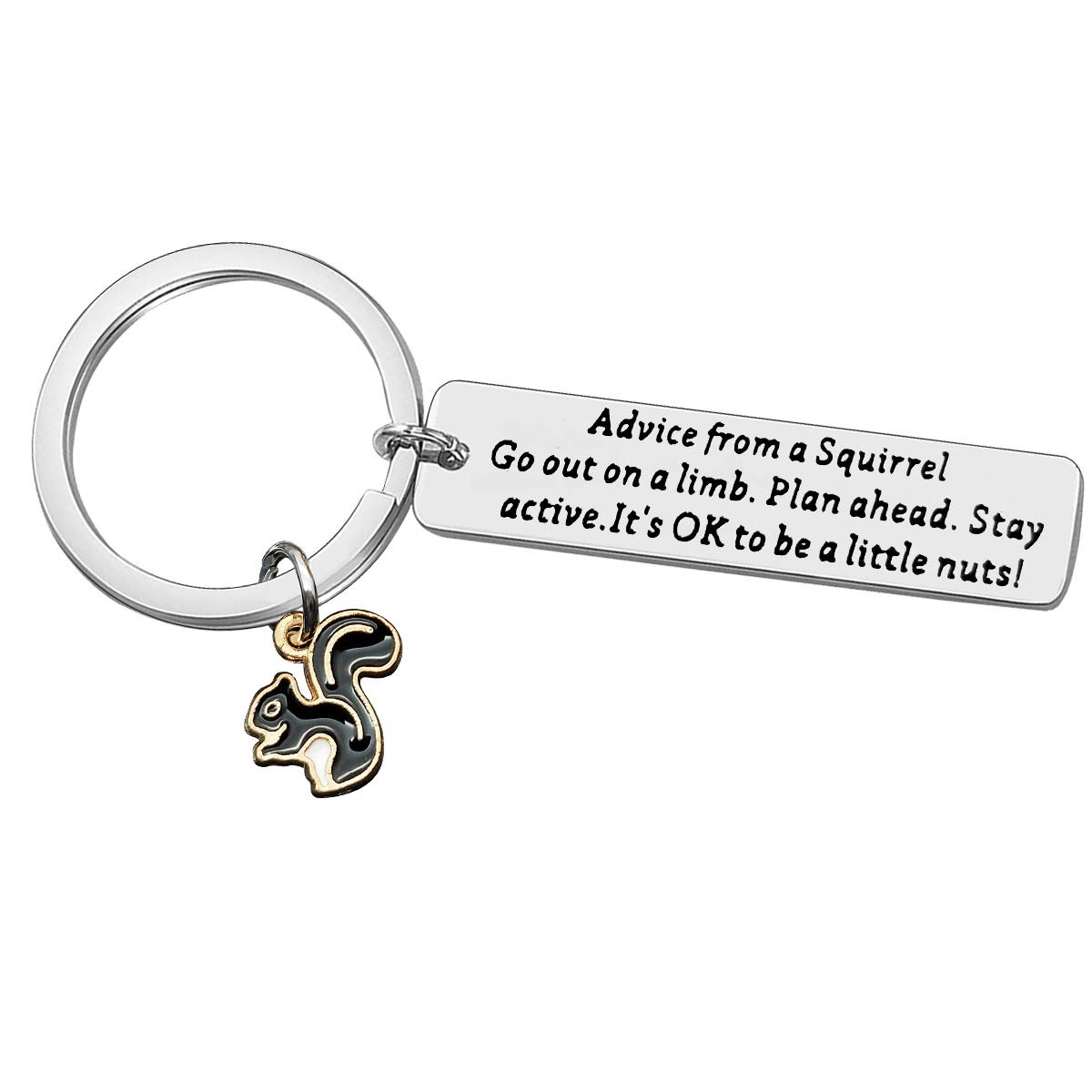 Funny Squirrel Keychain Advice from a Squirrel Gifts for Squirrel Lovers Nature Lovers Go Out on a Limb Plan Shead Stay Sctive It’s OK to be a Little Nuts Cute Keychain Keyring Gift for Squirrel Fans