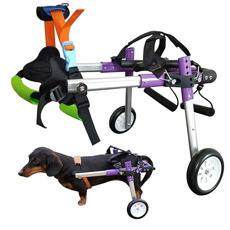 silla de ruedas para perros amazon
