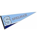 Middle Tennessee State Blue Raiders Felt Pennant - 12x30 Inch, Officially Licensed