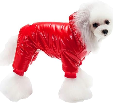 amazon dog coats with legs