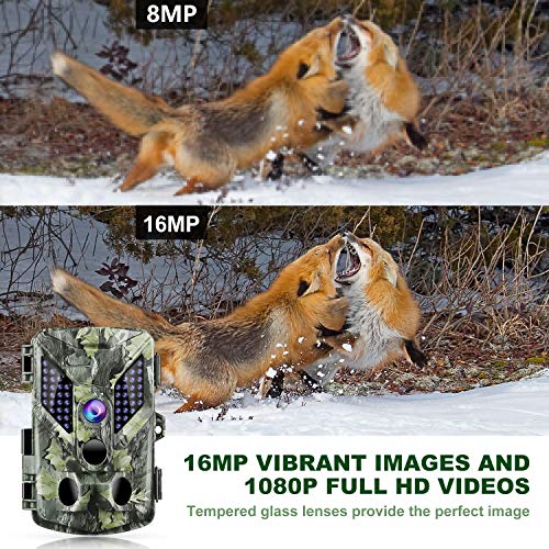 3 Cameras+Activated+Wildlife+Surveillance+Mounting