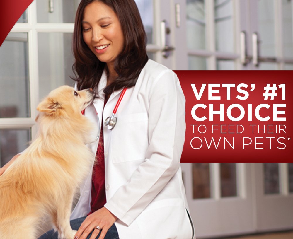 Hill's Science Diet Adult Sensitive Stomach Skin Salmon Vegetable