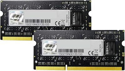 G.SKILL DDR3 Laptop Memory Kit 8GB (2x4GB) PC3-10666 CL9 SO DIMM 1333MHz