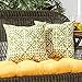 Greendale Home Fashions Outdoor Accent Pillows, Grass, Set of 2