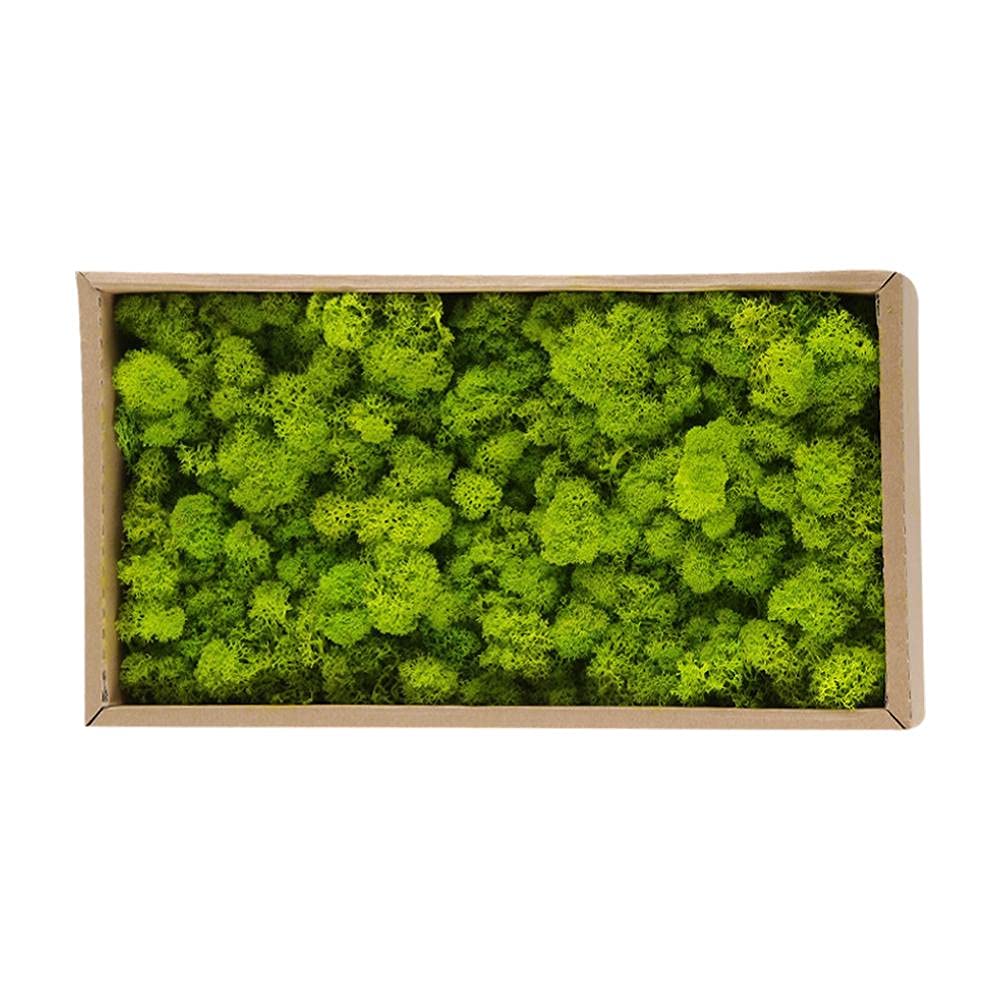 KENANLAN moss wall bun moss modelling moss Preserved Decorative Moss Durable Preserved Moss for Home Decorations Model Making (Army green / 500g)