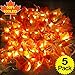 Fall Decor-5 Pack Total 50Ft 100LED Fall Garland Lights Fall Decorations for Home,Battery Operated&Waterproof with Enlarged Maple Leaves Garland for Thanksgiving Autumn Halloween Indoor Outdoor Decor