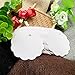 G2PLUS 100PCS Craft Scalloped Paper Gift Tags with Natural Jute Twines, 2.4 in Round Gift Tags for Birthday Party, Wedding Decoration Gifts, Arts & Crafts (Pure White)