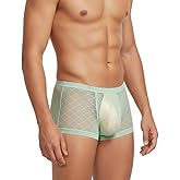 YINYOUYU Mens Sexy Ice Silk Underwear See Through Boxers Super Thin Sheer Trunk Bulge Pouch Boxer Briefs
