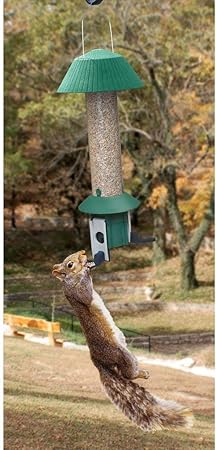 Amazon Com Songbird Essentials Squirrel Defeater Nut Feeder