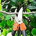 GANCHUN Pruning Shears Stainless Steel Garden Pruner 8