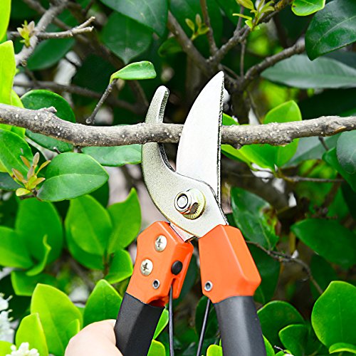 GANCHUN Pruning Shears Stainless Steel Garden Pruner 8" Bypass Garden Shears for Bonsai,Branch,Tree Trimmer,Flowers. - Thumbnail 6