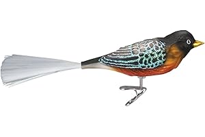 Old World Christmas 18088 Bird Watcher Collection Glass Blown Ornaments for Christmas Tree Robin, Multicolor