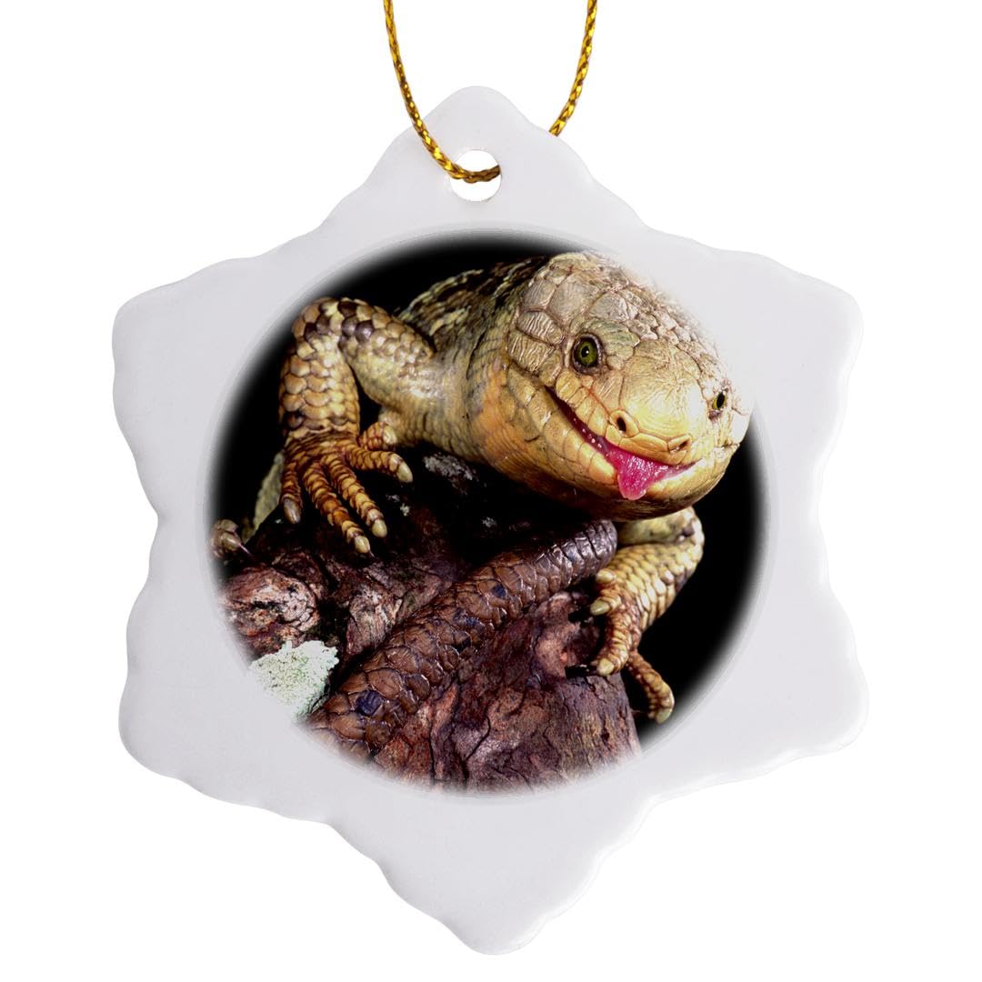 3dRose Prehensile-Tailed Skink Lizard-Na02 Dno0294-David Northcott Snowflake Ornament, Porcelain, Multi-Colour, 3-Inch
