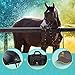 Altshuler Black Equestrian Horse Riding Helmet: Low Profile Adjustable Size with Mesh-Covered Air Vents, CE VG1 Certified with Canvas Sports Bag, and Baseball Cap