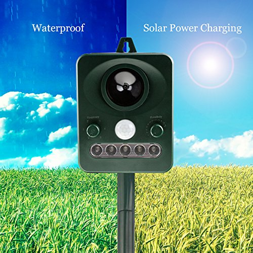 Cat Dog Squirrel Repellent Outdoor Ultrasonic,Solar Animal Fox Raccon Pest Rat Voles Rodent Pest Repellent Repeller Control