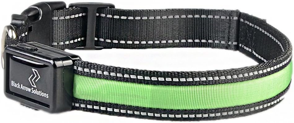 arrow dog collar