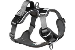 EMBARK PETS Embark Adventure Dog Harness, Reflective Trim No Pull Dog Harness Medium Sized - Military Grade Nylon, Front Clip with Gel Lined Handle. Soft & Padded Puppy Harnesses for Any Breed