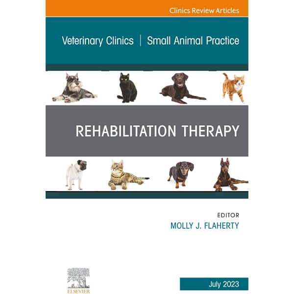 Canine and Feline Respiratory Medicine, An Issue of Veterinary